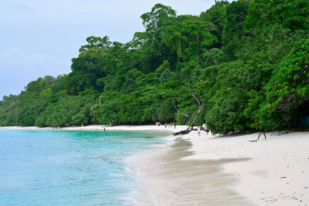 andaman island beach view