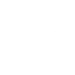 Flight