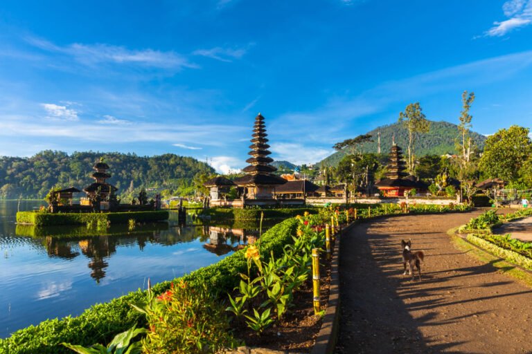 Bedugul Highlands